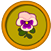 Link to Games. The image is a white pansy.