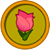 Link to Toys. The image is a pink tulip.