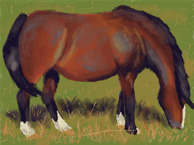 Horse