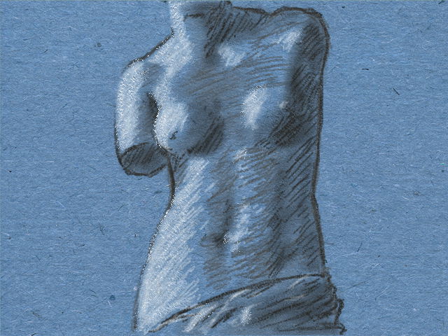 Torso