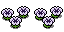 White pansies spritesheet