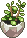 Link to the creator. The image is are some succulent plants in a pot.